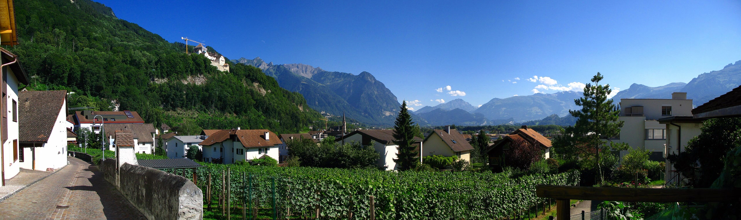 Vaduz Castle above vineyards and the alpine town of Vaduz